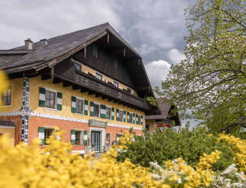 Wir werkeln fürs Wohlgefühl – Zimmer im neuen Glanz